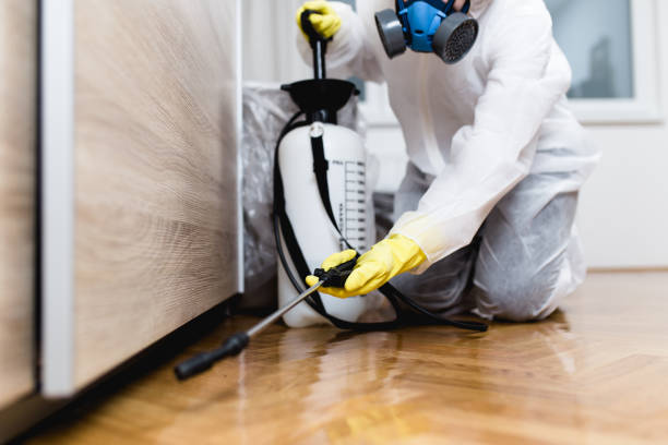 Best Exterminator Services  in Barberton, OH