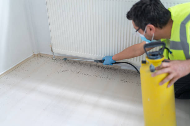 Best Emergency Pest Control  in Barberton, OH