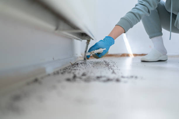 Best Cockroach Control Services  in Barberton, OH
