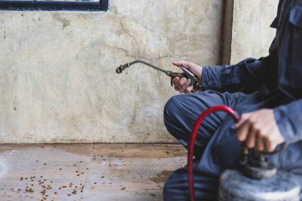 Best Best Pest Control Companies  in Barberton, OH